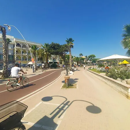 Dalila Bilo Pt - Myho Casa トルトレート