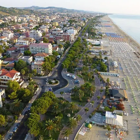 Dalila Bilo Pt - Myho Casa * トルトレート